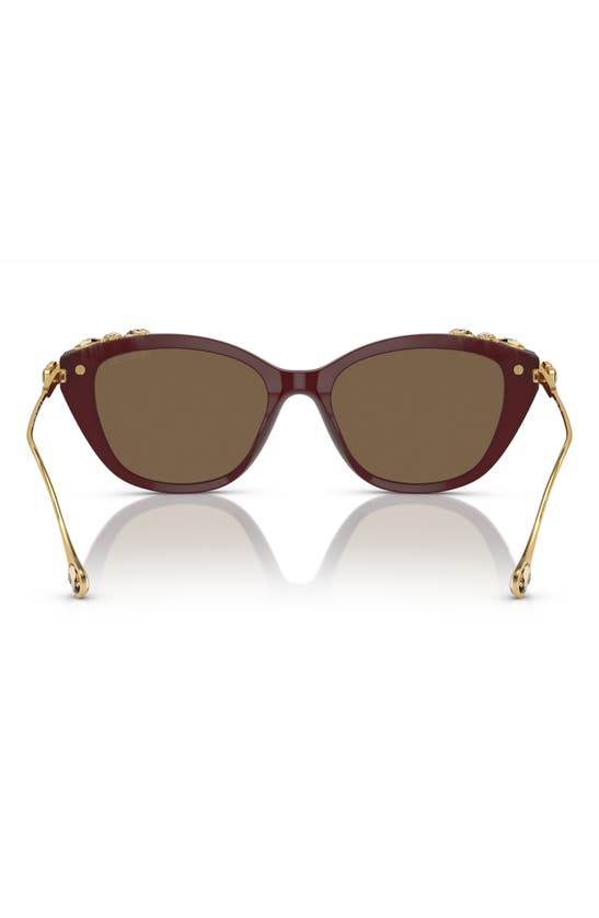 Swarovski 53mm Cat Eye Sunglasses In Dark Brown