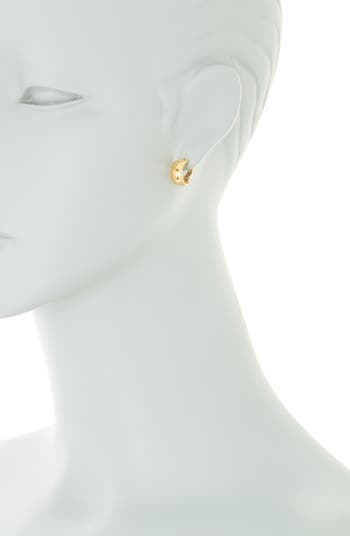 Bony levy 2025 gold hoop earrings