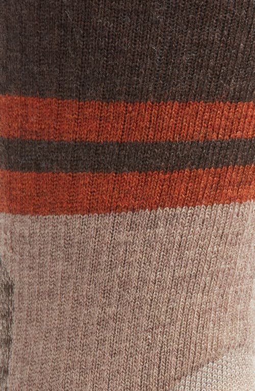 Smartwool Hike Full Cushion Lolo Trail Wool Blend Crew Socks In Fossil