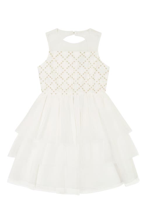 BLUSH by Us Angels Kids' Embroidered Tulle Dress in Ivory