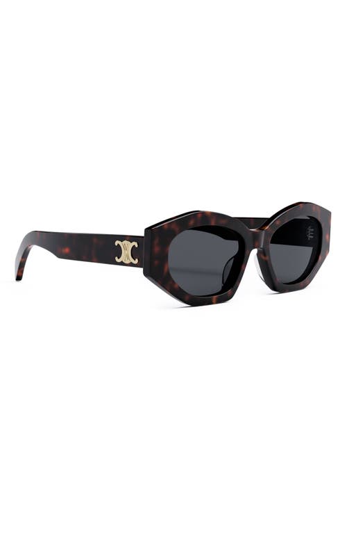 Celine Triomphe 54mm Cat Eye Sunglasses In Dark Havana Smoke Celine Triomphe 54mm Cat Eye Sunglasses In Dark Havana Smoke