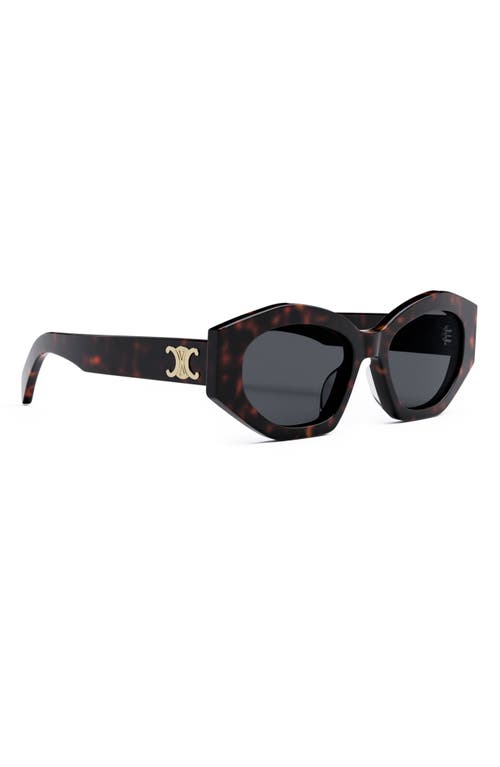 Shop Celine Triomphe 54mm Cat Eye Sunglasses In Dark Havana/smoke