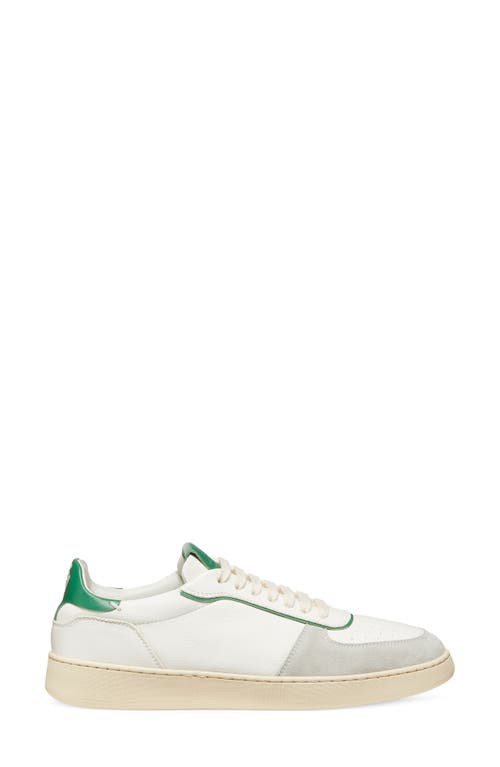 Shop Stuart Weitzman Sw Courtside Sneaker In Light Grey/white/green