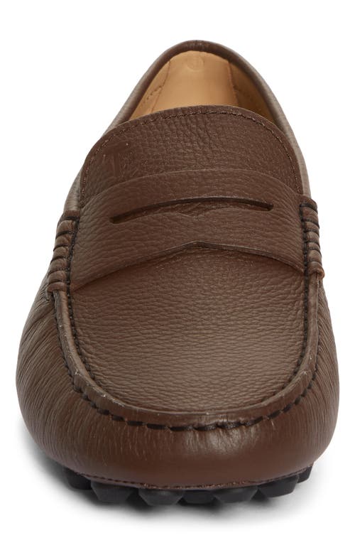 Shop Tod's Gommino Driving Shoe In Tabacco Scuro