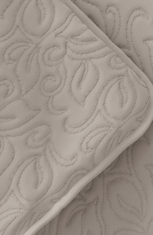 Shop Homespun 3-piece Floral Stitch Quilt Set In Latte