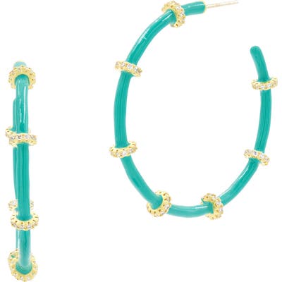 Freida Rothman Harmony Enamel Hoop Earrings