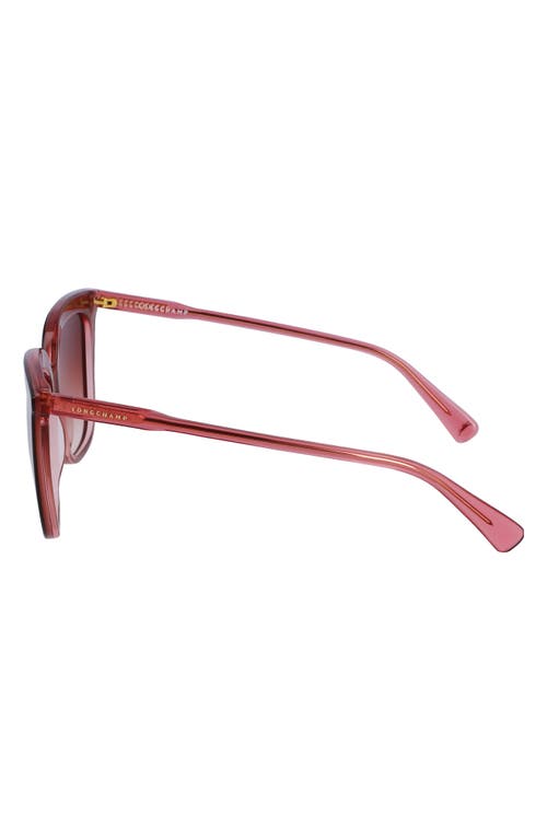 Longchamp 53mm Rectangular Sunglasses In Brown/rose