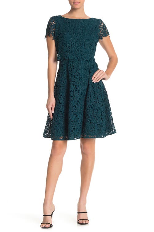 Popover Lace Fit & Flare Dress in Azure Blue