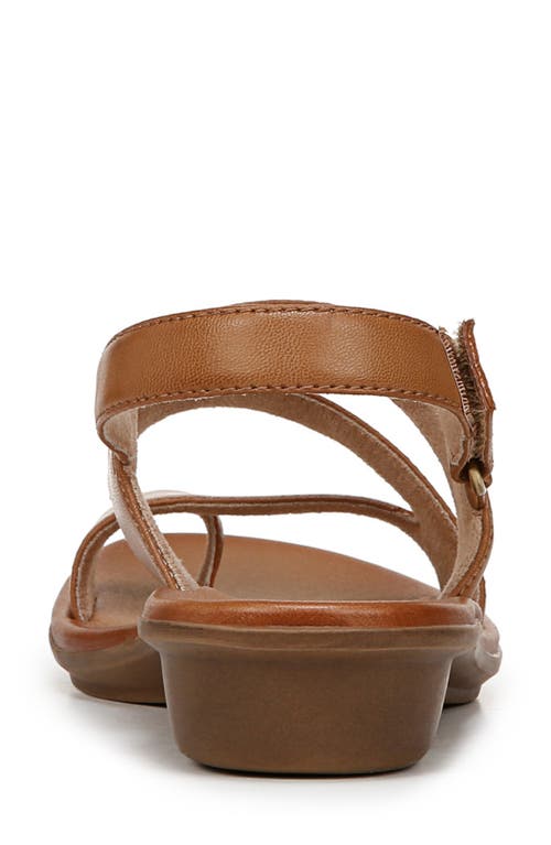 Soul Naturalizer Shakina Toe Loop Slingback Sandals In English Tea Brown Faux Leather