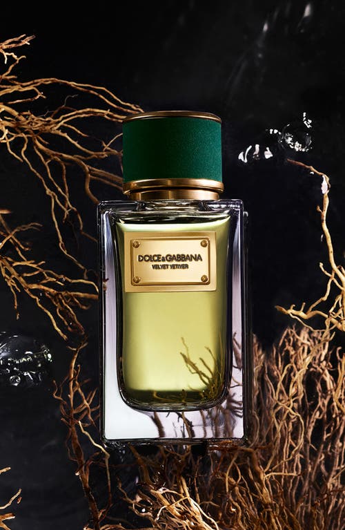 Dolce & Gabbana Dolce&gabbana Velvet Vetiver Eau De Parfum In No Color