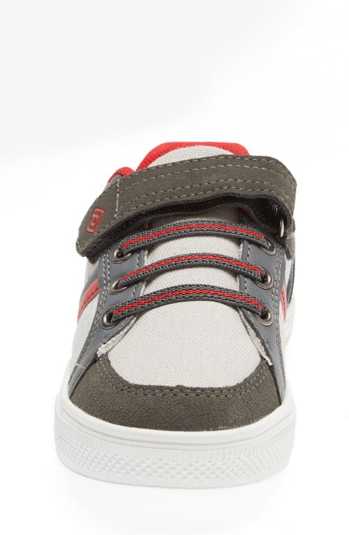 Shop Dream Pairs School Low Top Sneaker In Grey/red