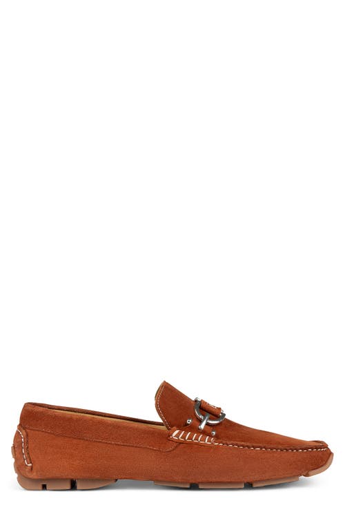 Shop Donald Pliner Moc Toe Driving Loafer In Cognac