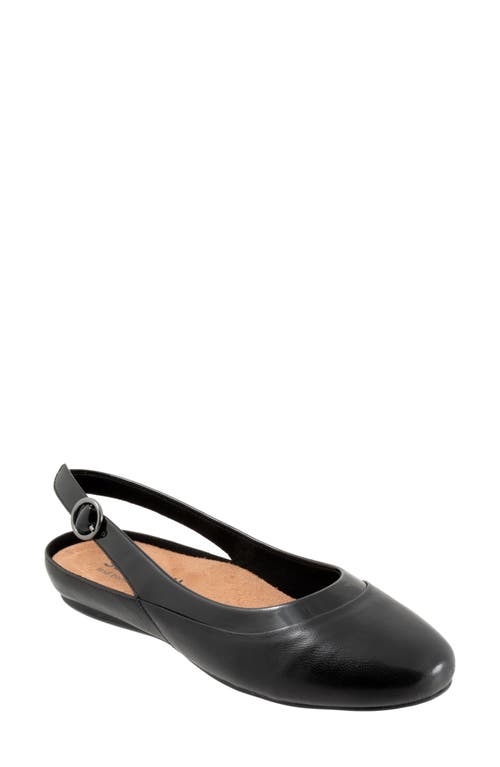 SoftWalk® Sheffield Slingback Flat in Black 