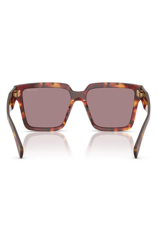 Prada 56mm Square Sunglasses In Purple