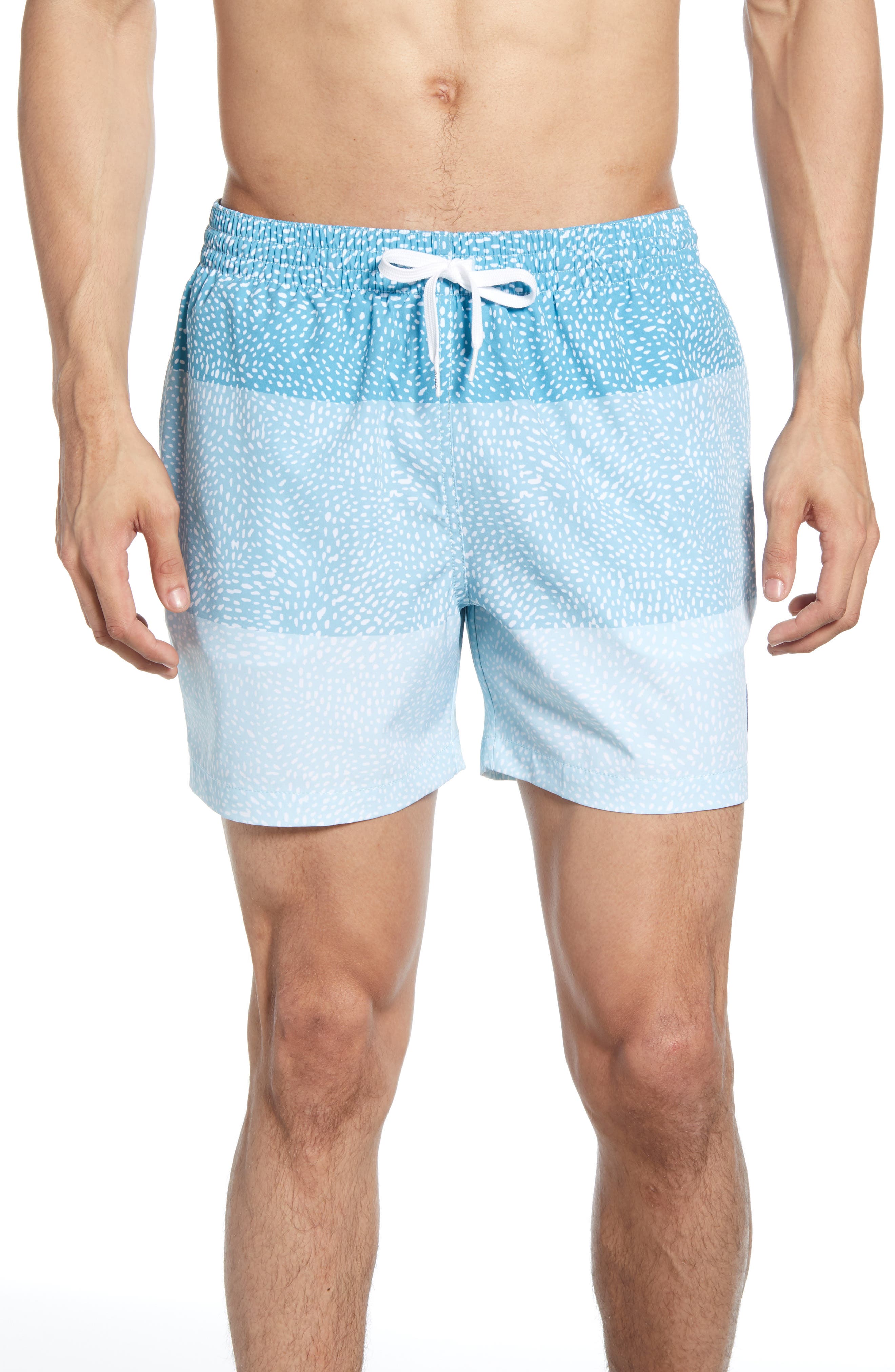 Chubbies Whale Sharks Print Swim Trunks, Blue