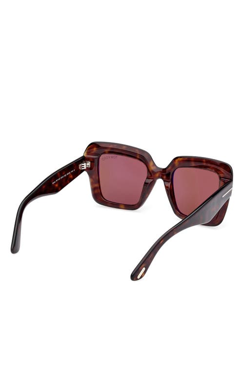 Shop Tom Ford Esme 50mm Square Sunglasses In Shiny Classic Havana/brown