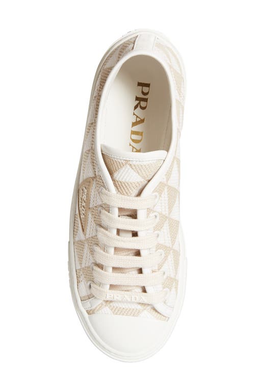 Shop Prada Triangle Jacquard Low Top Sneaker In Beige/white