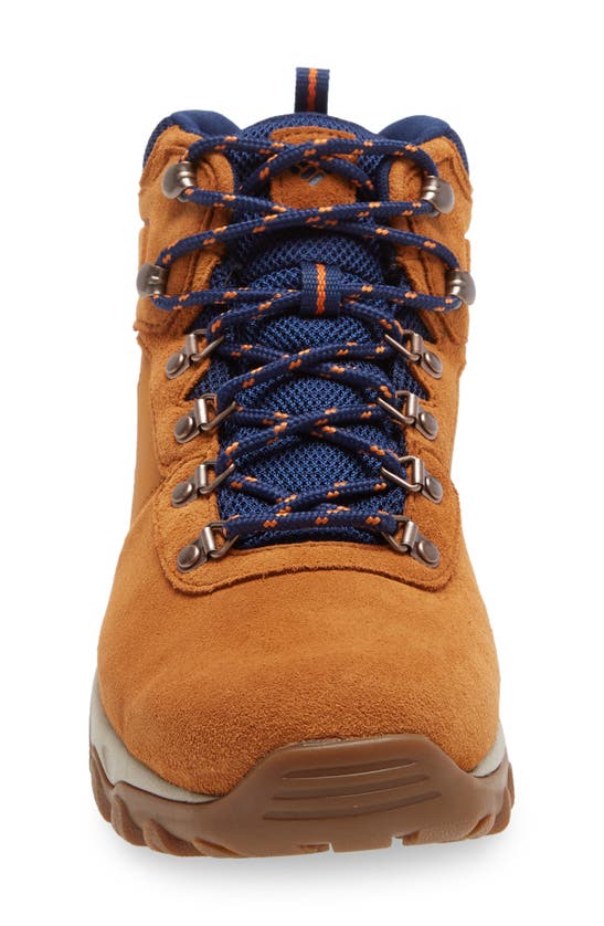 Columbia Newton Ridge™ Plus Ii Waterproof Hiking Boot In Beige Blue