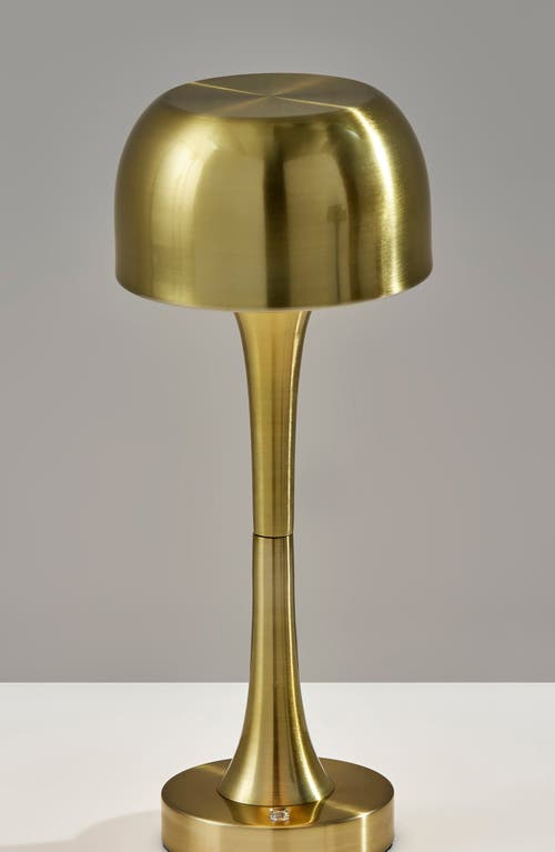 Adesso Lighting Jimmy Cordless Led Lamp In Antique Brass