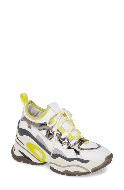 Shop Ash Bird Wedge Sneaker In White/metal/lime