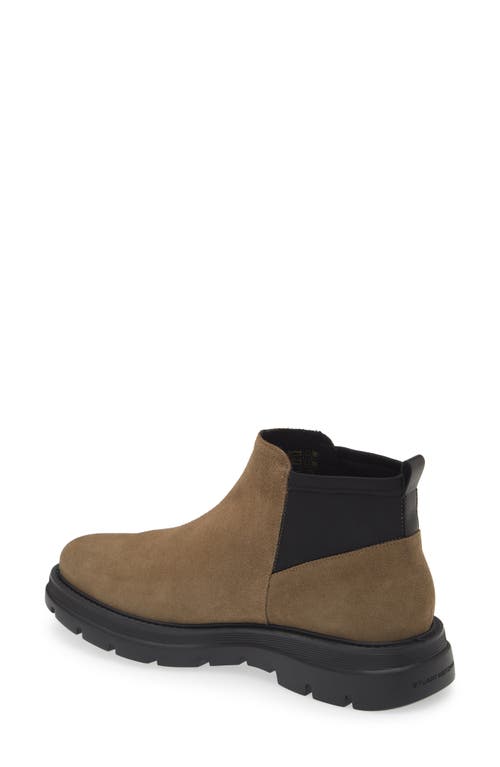 Shop Stuart Weitzman Aiden Chelsea Boot In Taupe/black