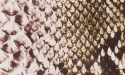 Oscar De La Renta Python Print Silk Faille Fit & Flare In Olive
