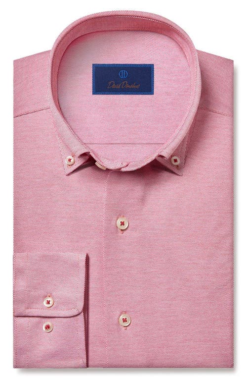 David Donahue Regular Fit Solid Cotton Button-Down Shirt in Nantucket Red