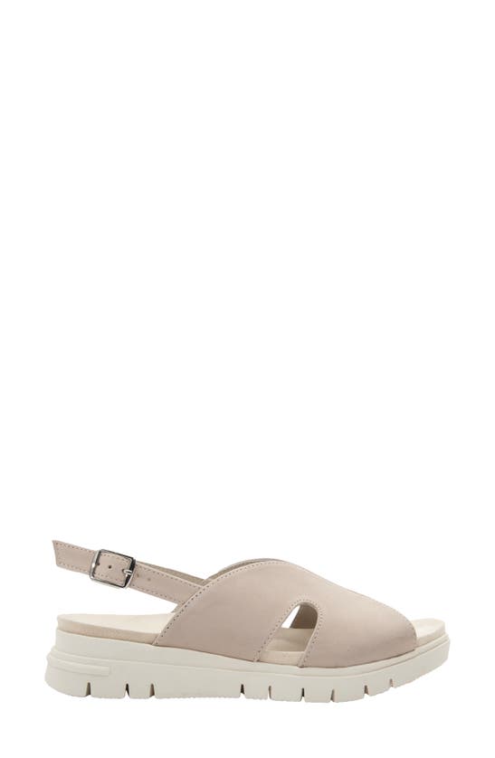 David Tate Madona Unit Slingback Sandal In Bone