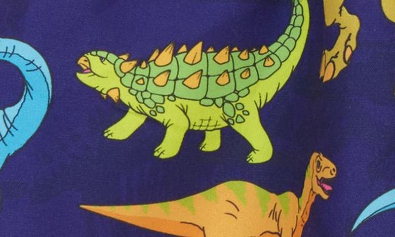 BOARDIES BOARDIES KIDS' VIBRANT DINOS SWIM TRUNKS