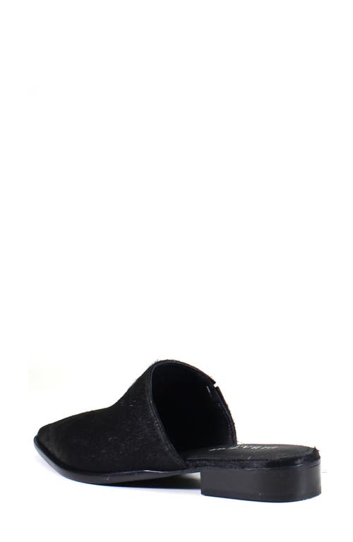 Shop Diba True High Up Calf Hair Mule In Black/calf Hair