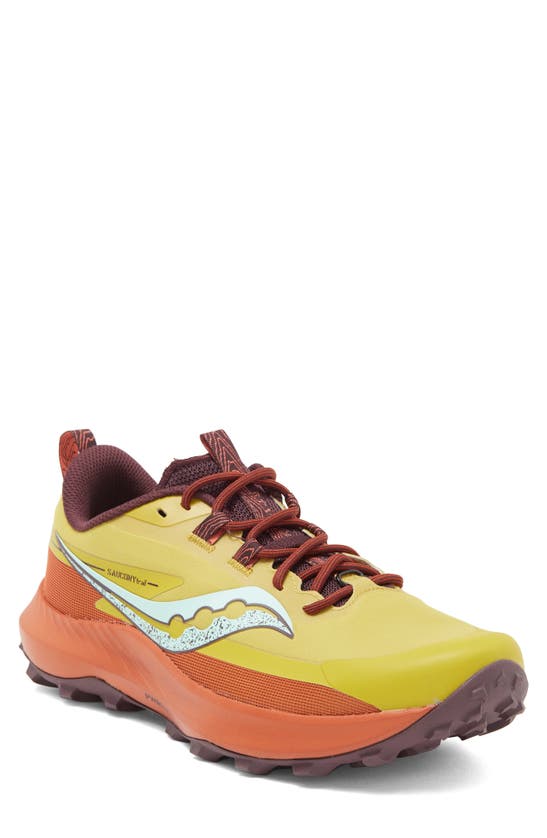 Saucony Peregrine 13 Running Shoe In Arroyo