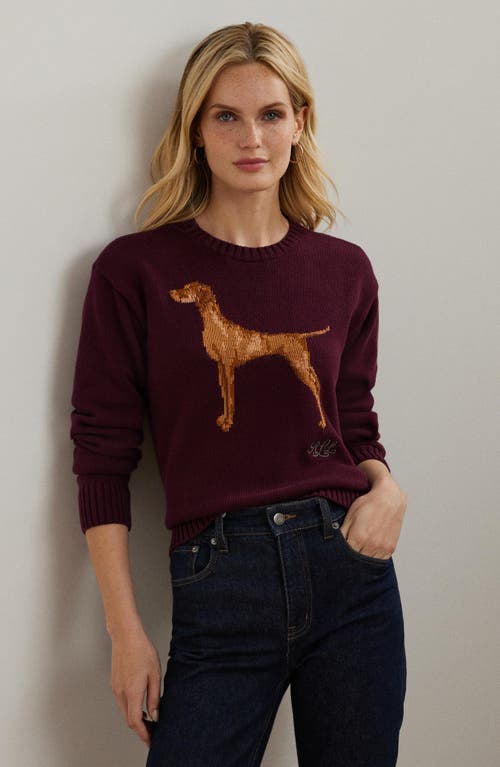 Shop Lauren Ralph Lauren Intarsia Vizsla Cotton Sweater In Pinot Noir