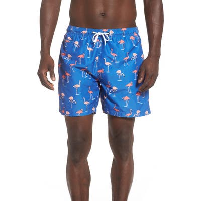 Trunks Surf & Swim Co. Flamingo Swim Trunks, Blue
