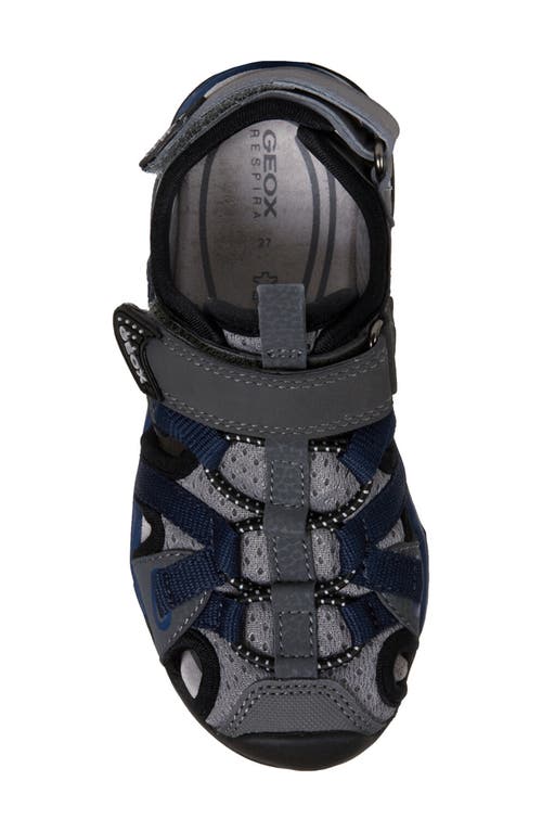 Shop Geox Borealis Sandal In Dark Grey/navy