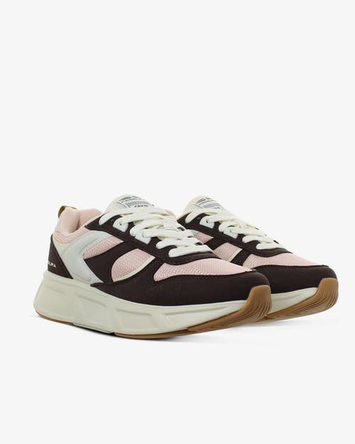 Shop Fessura Walk 03 Sneaker In Brown-rose