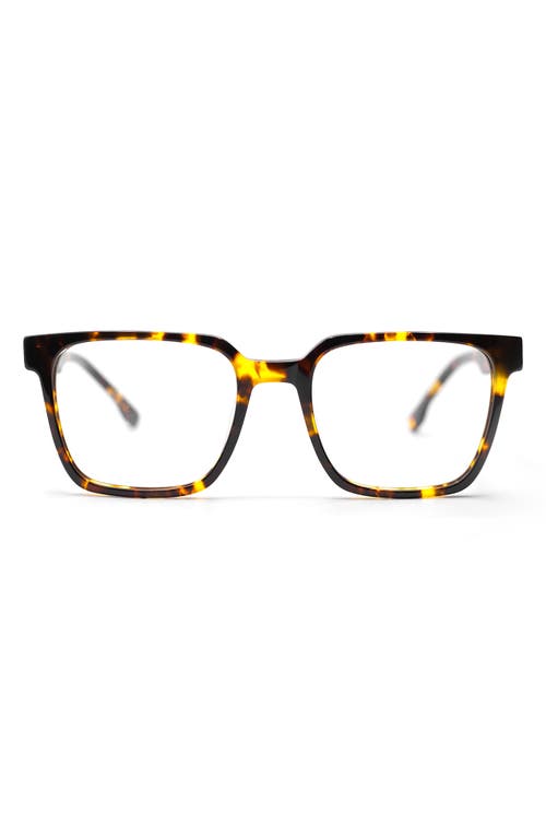 Jade 50mm Gradient Square Optical Glasses in Tortoise /Clear