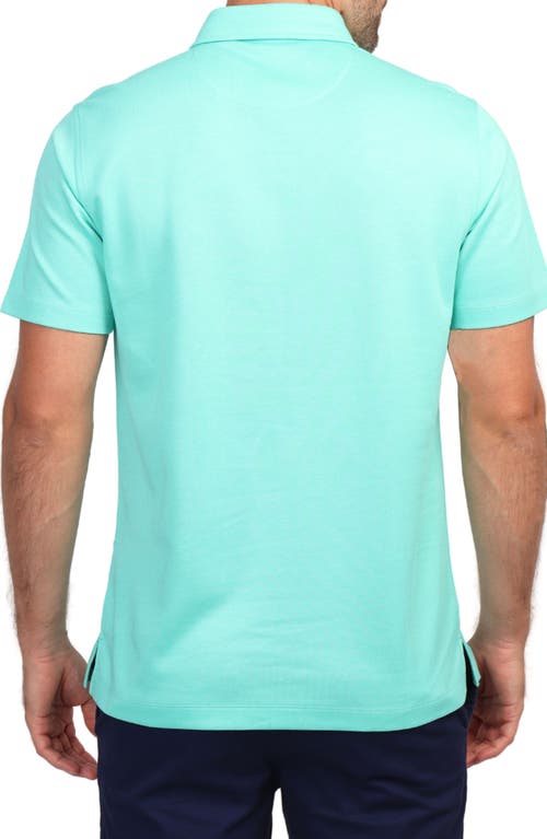 Tailorbyrd Solid Polo In Spearmint