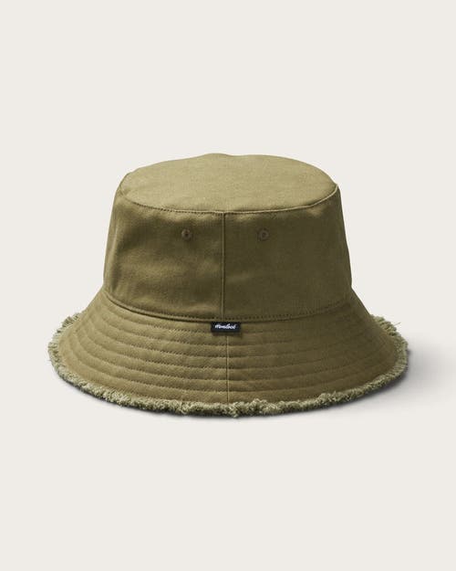 Shop Hemlock Coronado Bucket Hat In Olive