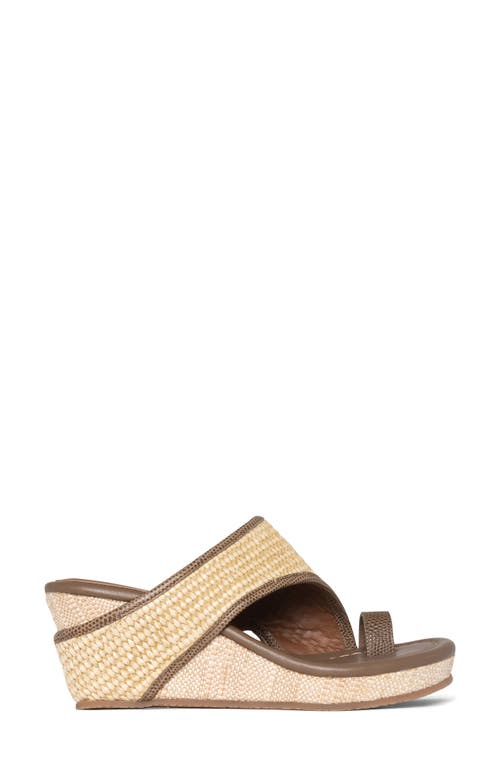 Shop Donald Pliner Platform Wedge Sandal In Biscotti