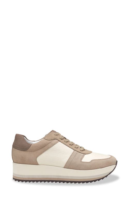 Shop Johnston & Murphy Gracie Colorblock Sneaker In Taupe Suede/cotton Calf