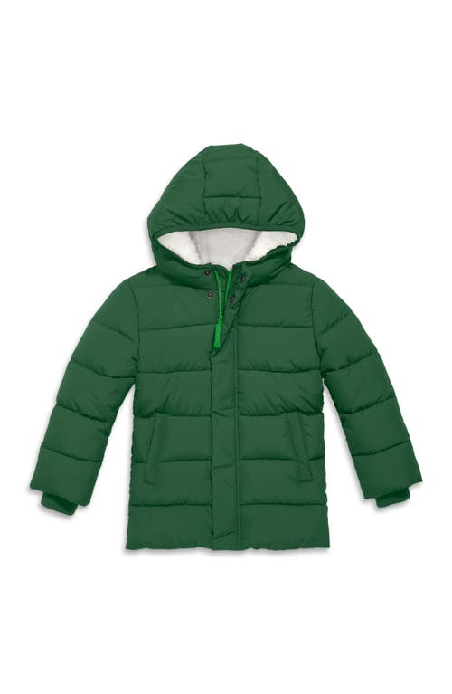 Primary Parka Puffer Coat In Evergreen