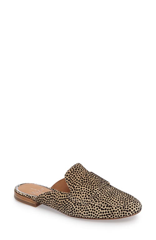 Linea Paolo Annie Loafer Mule in Natural/Black Print Suede