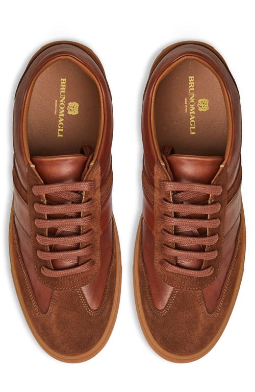 Shop Bruno Magli Baccio Sneaker In Cognac