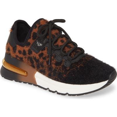 Ash Krush Knit Sneaker, Brown