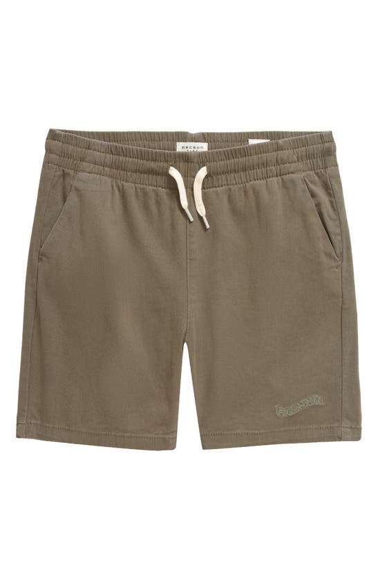 Pacsun Kids' Volley Shorts In Brown