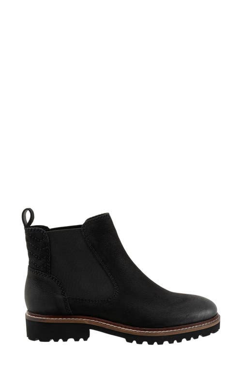 SOFTWALK SOFTWALK® INDY CHELSEA BOOT