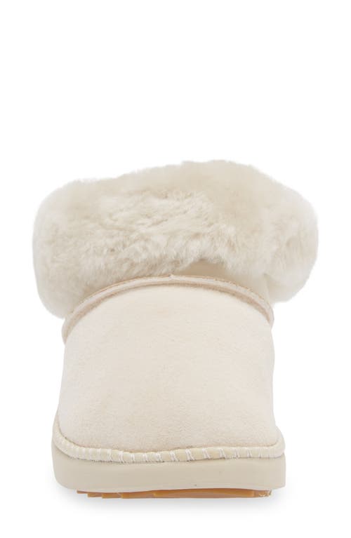 Shop Olukai Genuine Shearling Slipper In Puka/puka