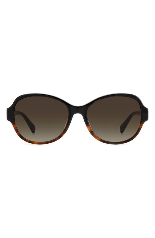kate spade new york addilynn 57mm gradient round sunglasses in Black Havana/Brown Gradient