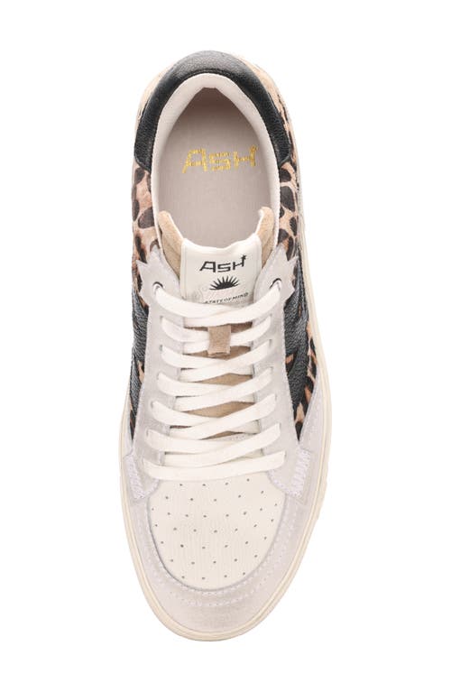 Shop Ash Moonlight Genuine Calf Hair Sneaker In Cheetah Calf Hair