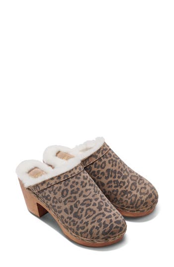 Beek Woodpecker Genuine Shearling Clog In Leopard
